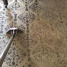 carpet-cleaning-gallery 17