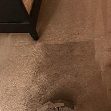 carpet-cleaning-gallery 19