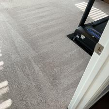 Carpet Cleaning with Pet Stains in Virginia Beach, VA