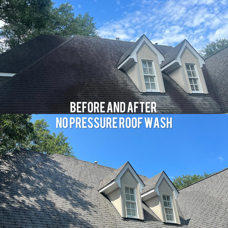 Roof cleaning service