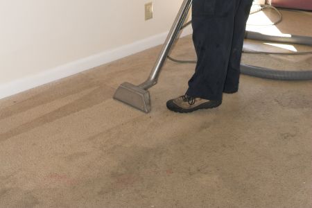 Virginia beack carpet cleaning