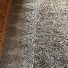 carpet-cleaning-gallery 6