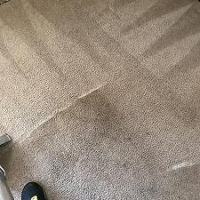 carpet-cleaning-gallery 13