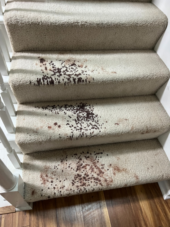 Blood stain removal