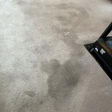 Carpet Cleaning with Pet Stains in Virginia Beach, VA 0