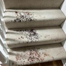 Blood Stain Removal in Chesapeake, VA