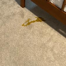 Carpet Cleaning Virginia Beach 2