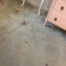 Carpet Cleaning Virginia Beach 4