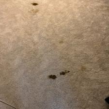 Carpet Cleaning Virginia Beach 0