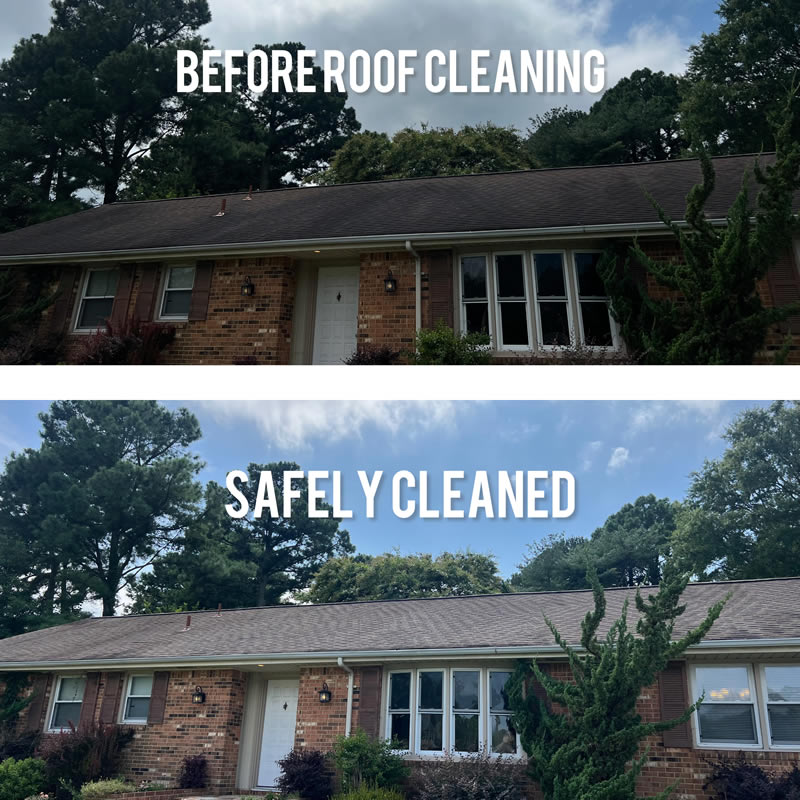 Roof cleaing service